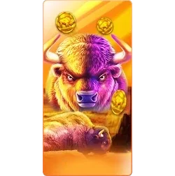 Buffalo
King slot game