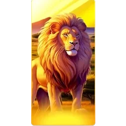 Lion
Safari slot game